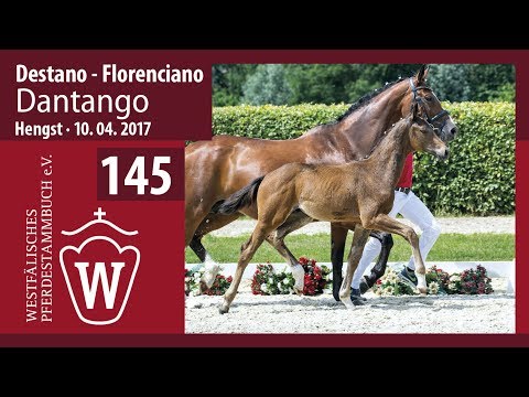 145 Dantango  Hengst v. Destano - Florenciano