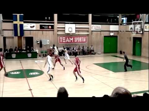 Gabriel Adersteg - Compilation of highlights videos from the 2013-2014 season