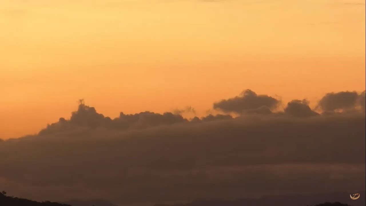 Celebração do Abraço e da Esperança | 18/07/2020