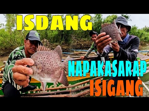 EP552:PART2-MGA ISDANG LAOT PUMASOK NA SA ILOG