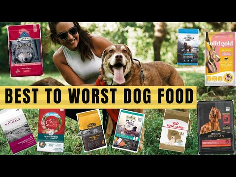 Best To Worst Dog FOOD |Ranking Dog food brands...