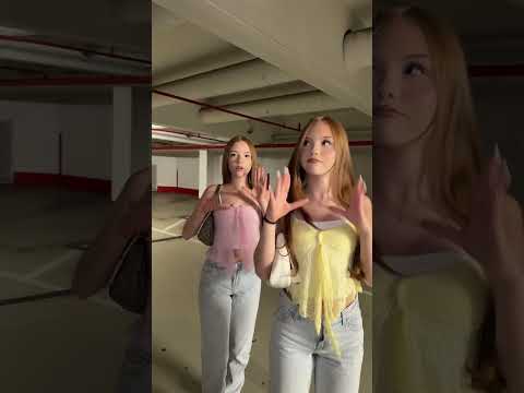 Who are we meeting today? #twins #dance #trending #shortvideo #trend #sisters #shorts