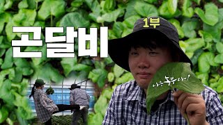 [나는농부다 320회 1부] 거침없이 하이킥! 달콤살벌 곤달비 신혼부부
