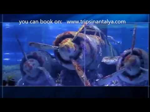 Antalya Aquarium 42 Antalya Aquarium 11