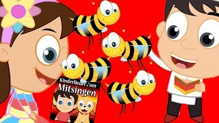 Summ, summ, summ und vieles mehr (16 Minuten+!) | Kinderlieder zum mitsingen
