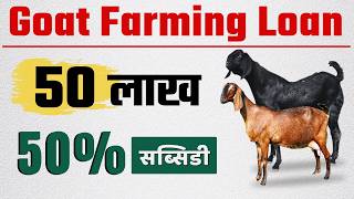 Goat Farming Loan & Subsidy |  Goat Farm Loan RS 4 lakh to 50 lakh | बकरी पालन लोन कैसे ले 2025