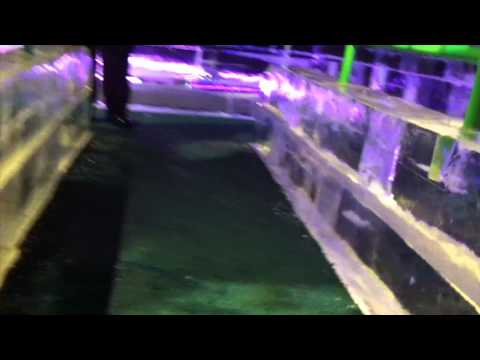 Gaylord Palms Ice Groupon - TheRescipes.info