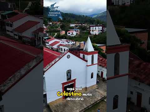 🌿 Tena Cundinamarca: el tesoro escondido del Tequendama #shorts