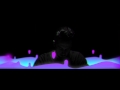 Elderbrook How Many Times Andhim Remix