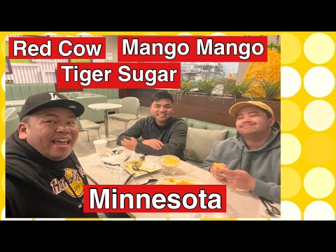BBD(Burger,Buble Tea,Dessert)Only In Minnesota| Kenji Mozaro