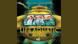 Rock N&#39; Roll Suicide