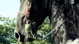 El Doctor, El Naza o El Chayo - El Komander