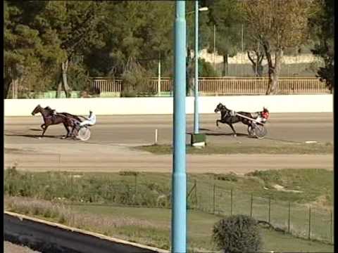 Taranto - Prova di qualifica 3 anni del 23/03/2017