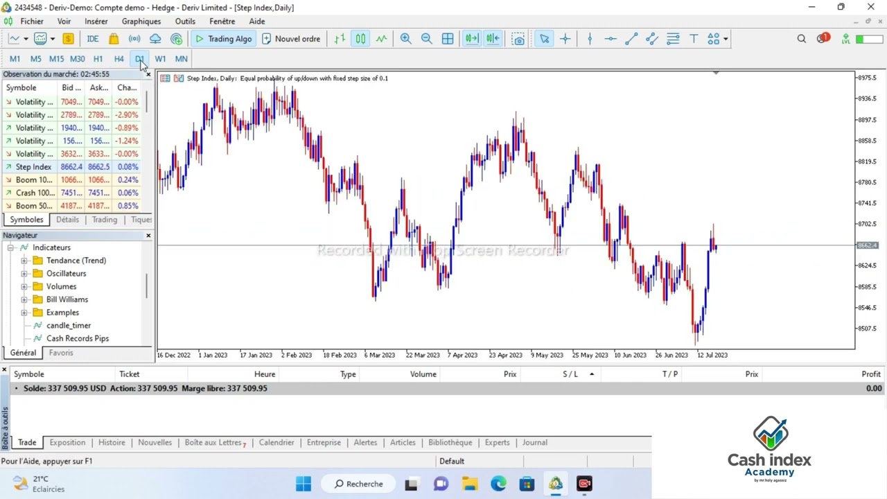 Comprendre le trading ainsi que la plateforme MetaTrader 5