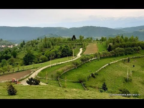 Drumul spre Vadu Dobrii