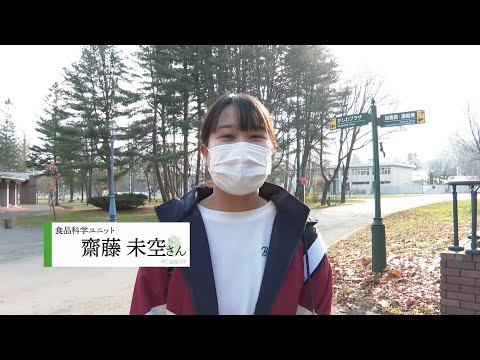 畜大生の一日　～畜産科学課程　齋藤さんの場合～