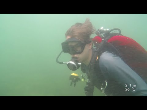 Cazino Dive - 11 Iulie 2020