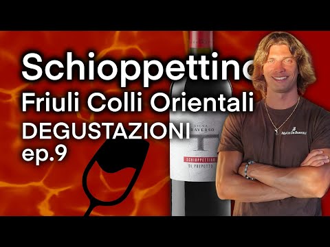 FRIULI COLLI ORIENTALI: Schioppettino di Prepotto Vigna Traverso. Degustazioni ep.9 🍷🔥