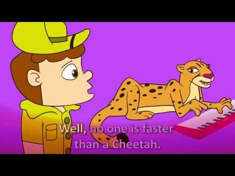How fast can a cheetah run?