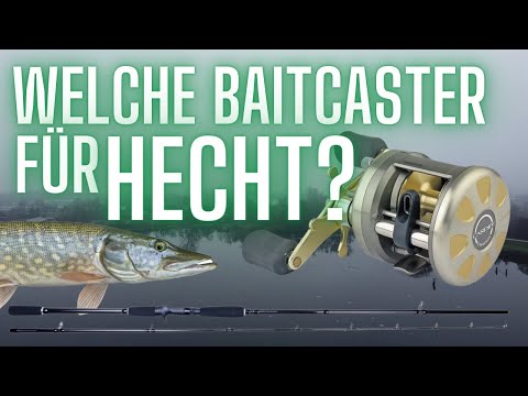 Welche Baitcaster-Kombo für Hecht? GUT und GÜNSTIG Big Baits werfen!