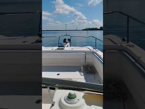World cat 250DC