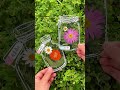Accompany the children to keep the beauty by hand, make a dried flower bookmark by yourself, put th