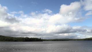 preview picture of video 'Canon 7D Timelapse at Algonquin Park (Canisbay Lake)'