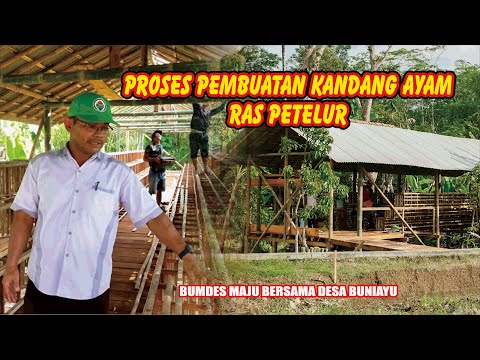 PEMBUATAN KANDANG AYAM RAS PETELUR DESA BUNIAYU