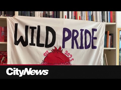 New pride festival coming to Montreal this summer