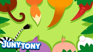 Download lagu Tail, Tail, My Tail | Animal Song for Kids | Did You Ever See My Tail? | Kids Song | JunyTony mp3