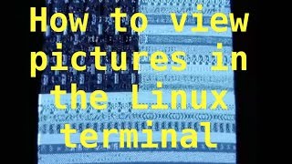 How to view images in Linux terminal