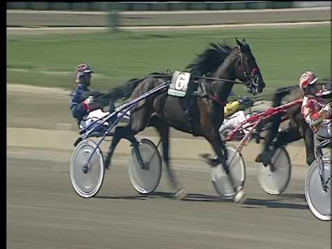 Trotto 31/03/2017 - 1ª corsa