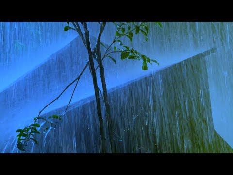 Dimentica L'insonnia e L'ansia per Addormentarti con Forti Piogge e Tuoni Intensi di Notte