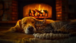 Fireside Friends 🔥💤 Soothing Cat Purrs, Gentle Breathing & Fireplace Warmth for Better Sleep