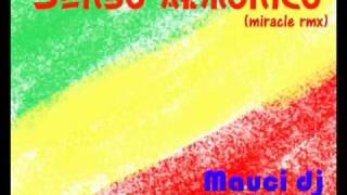Senso armonico (Afro Miracle remix)