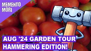 Garden Tour August 2024: Tomatoes, Beans, Eggplants, Peppers, Zucchini! (Zone 4b)