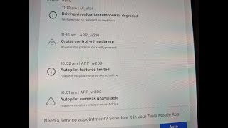 Tesla Model 3 Autopilot camera failure with solution | APP_w305 APP_w269 APP_w216