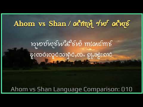 Ahom vs Shan language comparison: 010 [ 𑜋𑜂𑜫𑜆𑜩 | ၸၢင်ႉပၢႆး | elephant ]