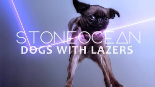 StoneOcean - Dogs with lazers [EDM | DUBSTEP]