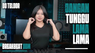 Download lagu BREAKBEAT BAILAR JANGAN TUNGGU LAMA LAMA  2025 | DJ TELOOR mp3