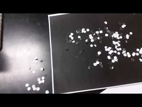 Moth Lab Industrial Melanism