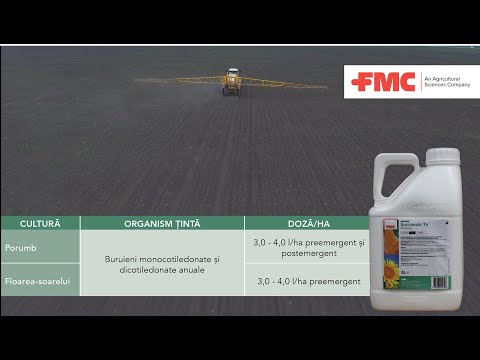 Successor TX , erbicid pentru porumb - Combate buruienile pentru mult timp!