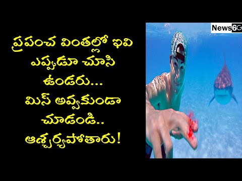 wonders of the world latest 2021