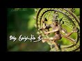Lord Shiva WhatsApp Status Nataraj Status Lord Arunachala