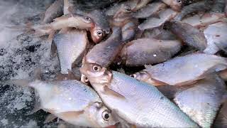 Рыбалка на верхнемакаровском водохранилище в свердловской области