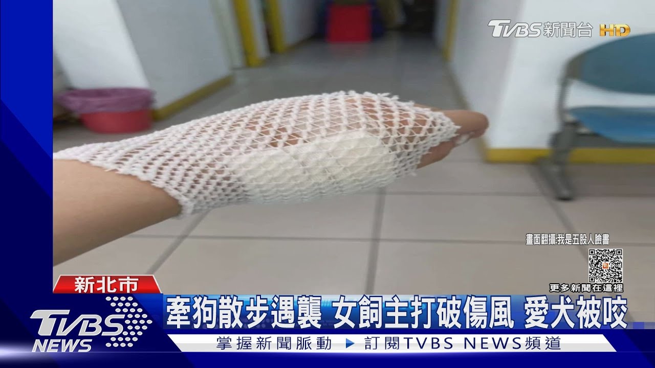 牽狗散步遇襲!女飼主打破傷風 愛犬被咬