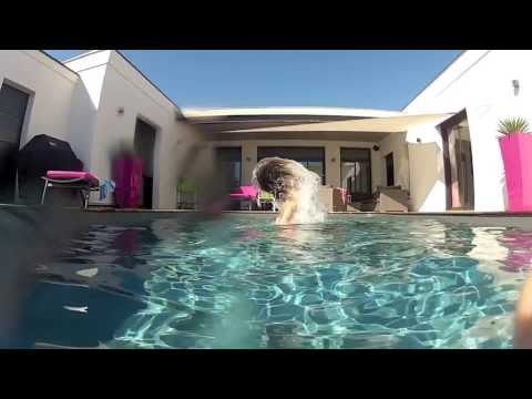 NOBODY RULES THE STREETS