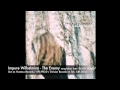IMPURE WILHELMINA - The Enemy (new album ...