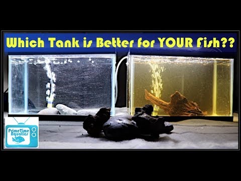 Water Quality in Your Aquarium - What Does it REALLY Mean?