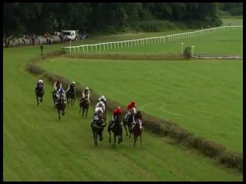 NE, 21. 8. 2016, 6. dostih - CENA FORESTINA s.r.o